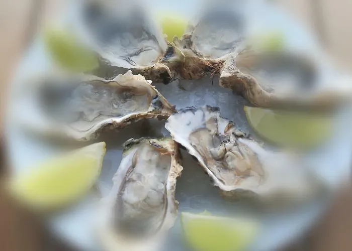 Quinta Da Boavista- Casa N Villa *